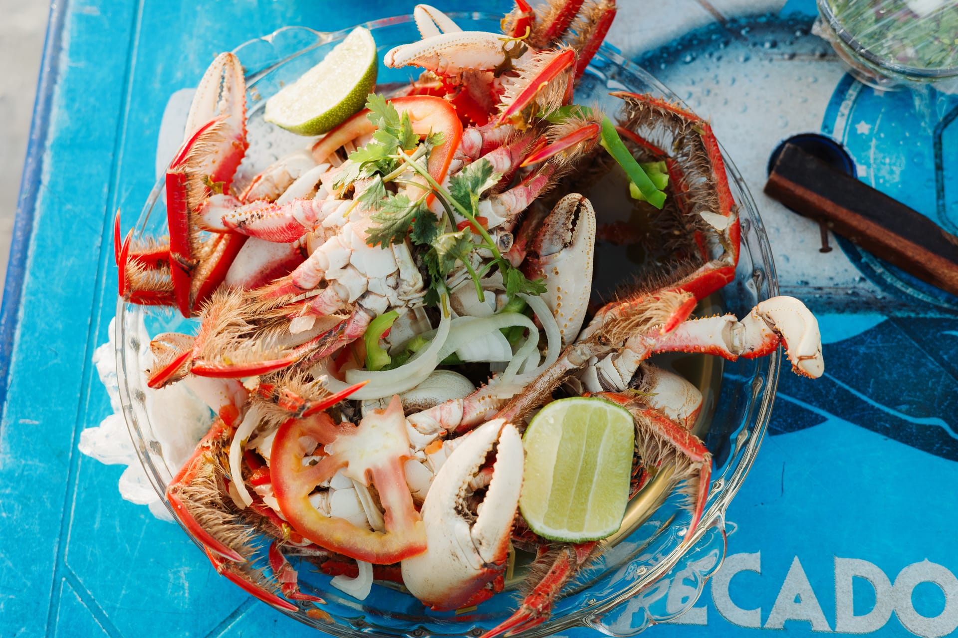 … with all its claws